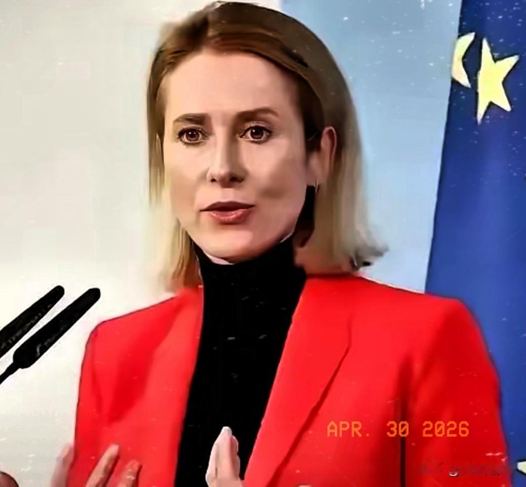 欧盟委员会宣布重要消息，
当地时间4月29日，欧盟委员会正式通过了“中东危机临时