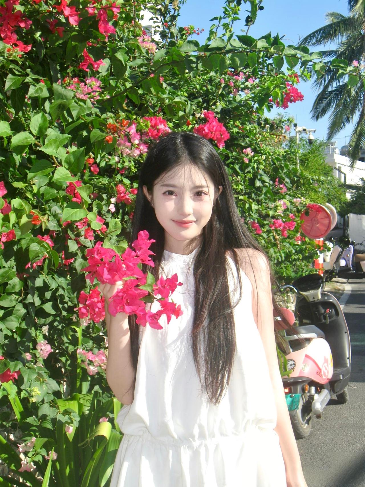 花开半夏