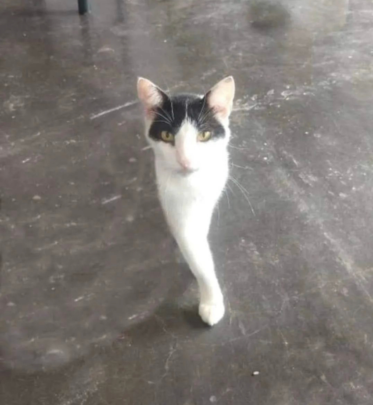 1 ​​​
