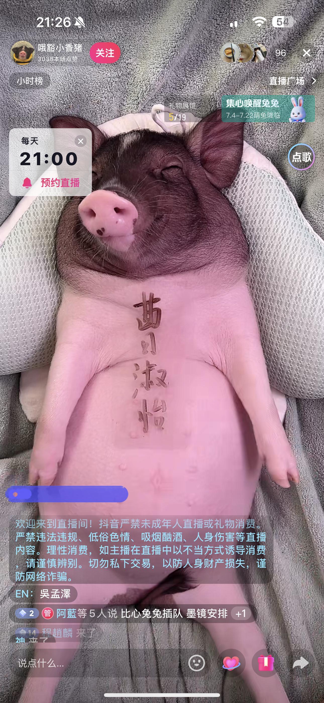 这是什么神奇赛道，刷礼物把你想写的名字写在猪身上，哈哈哈哈哈哈，大家狂刷礼物[淡