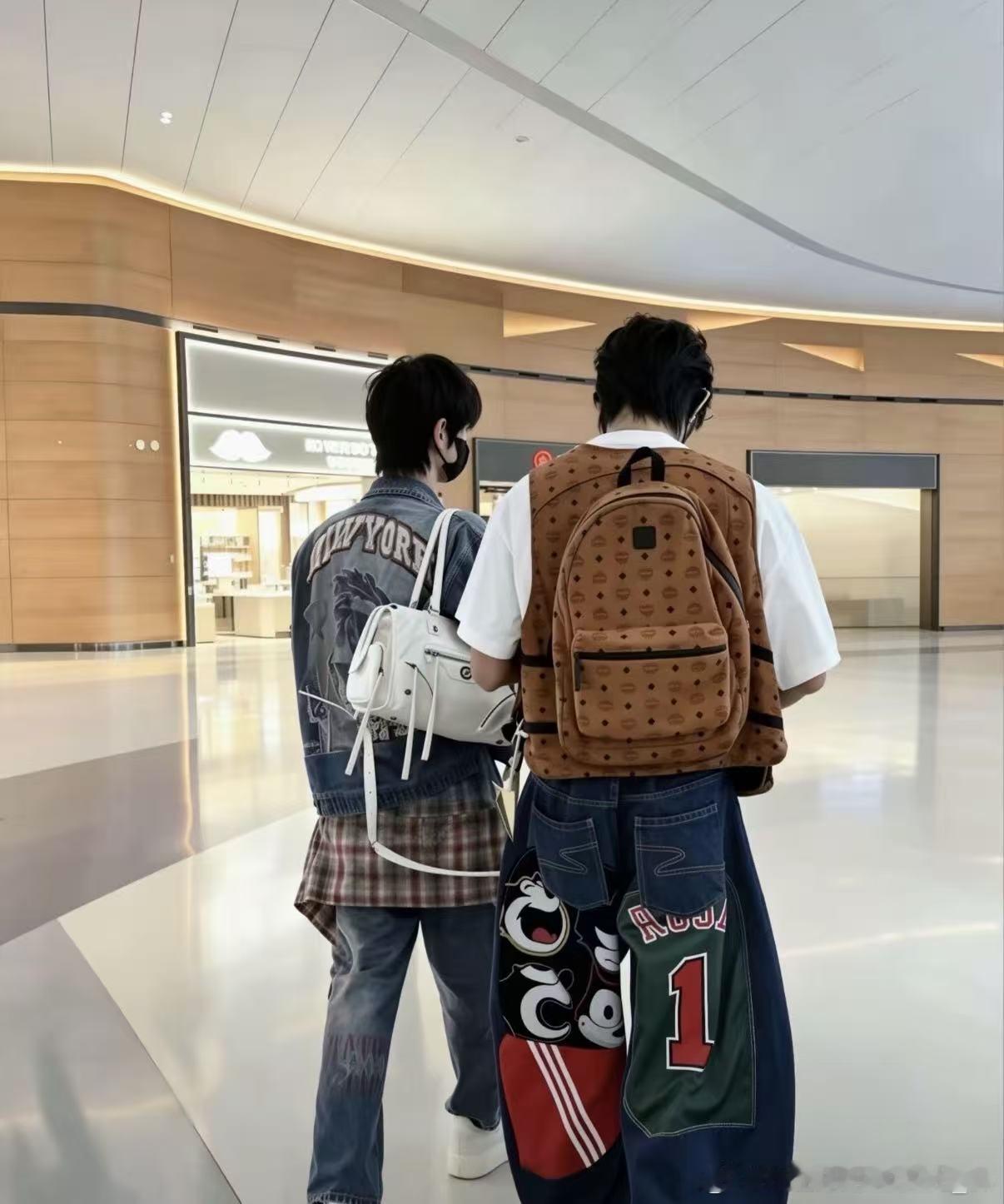 我在追星文里当NPC的那些年 别人追星是甜宠文，我当NPC纯纯冤种剧本！私生跟公