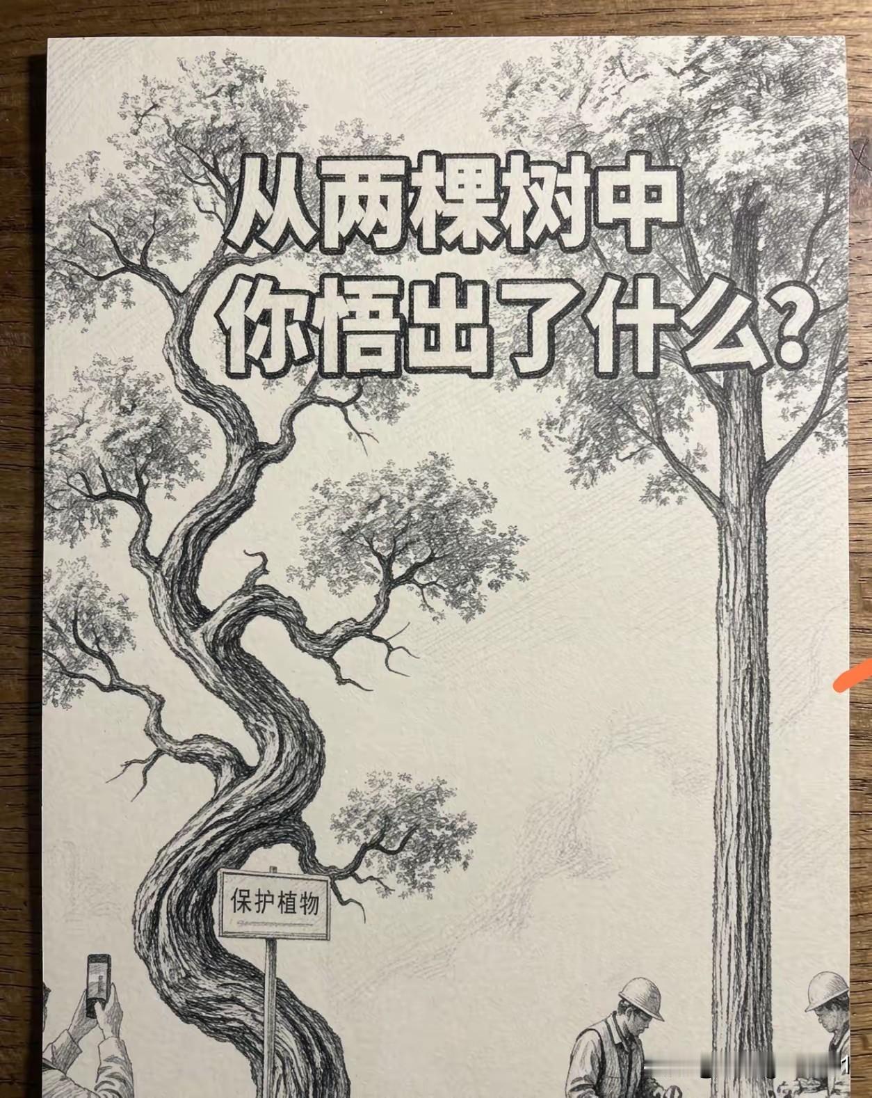 看图说话话成长
     盯着这张图瞅了好半天，两棵树并排立在那儿，一棵直得像拿