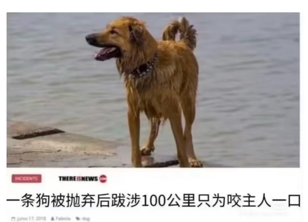 爸爸妈妈 ​​​