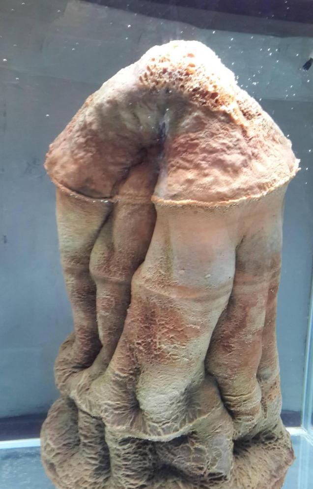 1993年7月，国家地质部一钻井队在河北省完县打井。

当时谁也没想到，这口为解