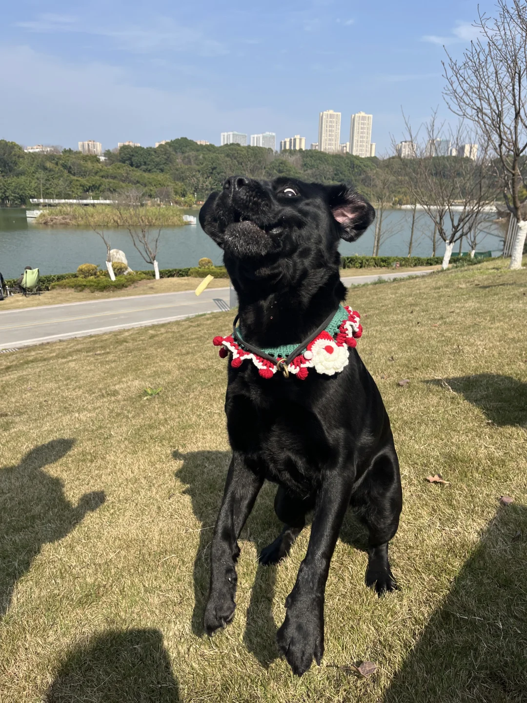 晒太阳啦☀️