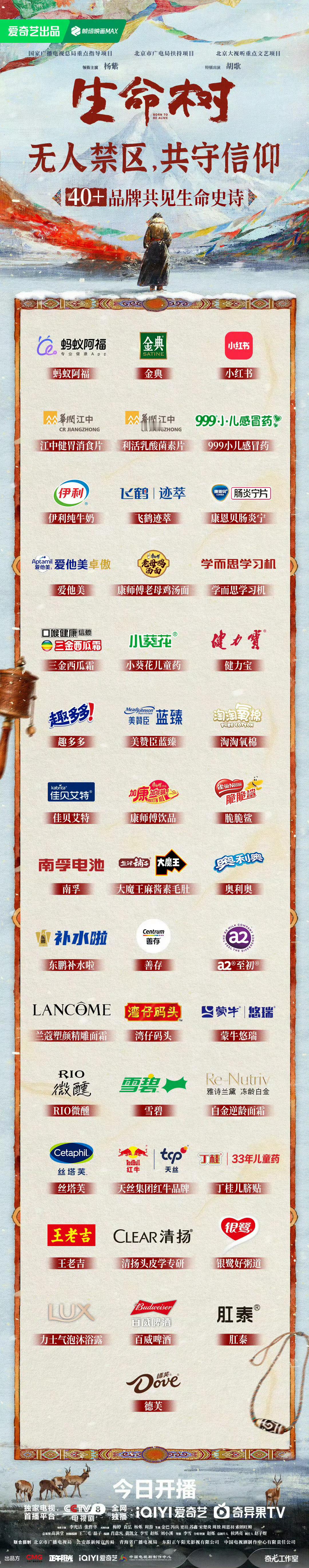 生命树开播43广杨紫生命树招商的王