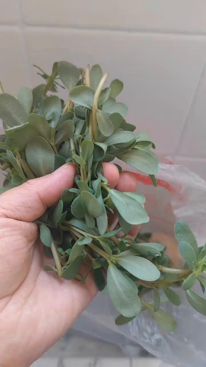 今天在小区的路边拽了两把马车线进行焯水，去掉草酸。切碎之后加入适量面粉，再打入两