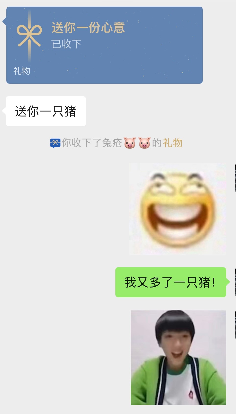 我兔窗哥哥又送了我一只小猪猪