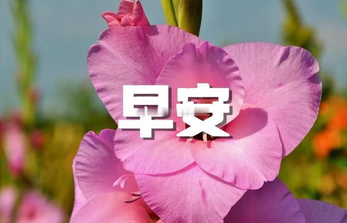 早安 早上好！时光如梭，又已到周五，粉丝朋友们一周至今都收效如何？ 