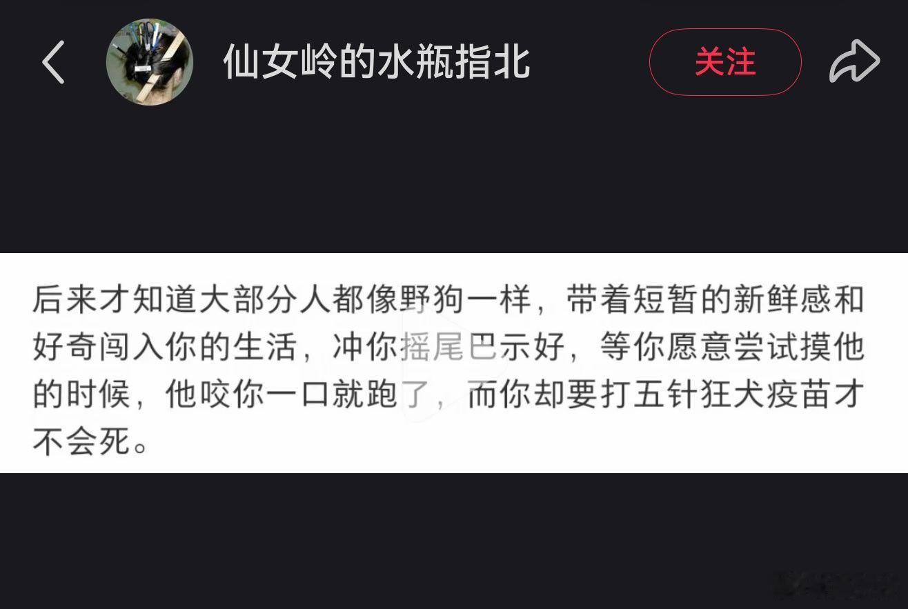 后来才知道大部分人都像野狗一样，带着短暂的新鲜感和好奇闯入你的生活，冲你摇尾巴示