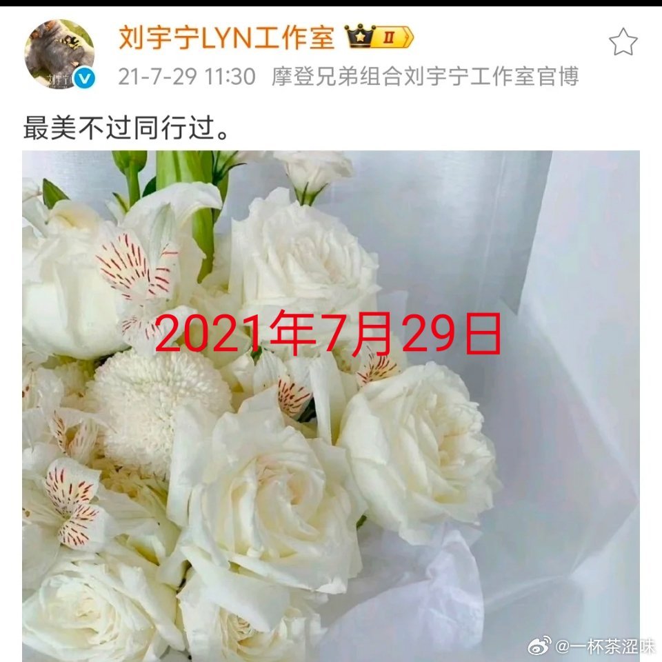 世间最难得的浪漫，是七年不曾更改的诺言。年年如期而至的白玫瑰，演唱会专属的鲜花空