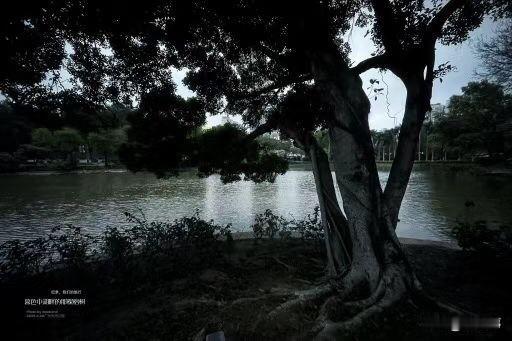 分享一张秋色的美景。静静的天河湖