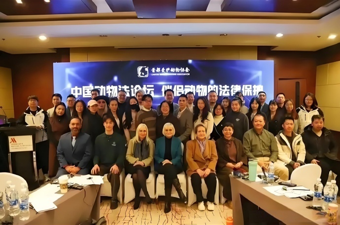 在中国举办的动物保护论坛，为啥C位全部是外国人？