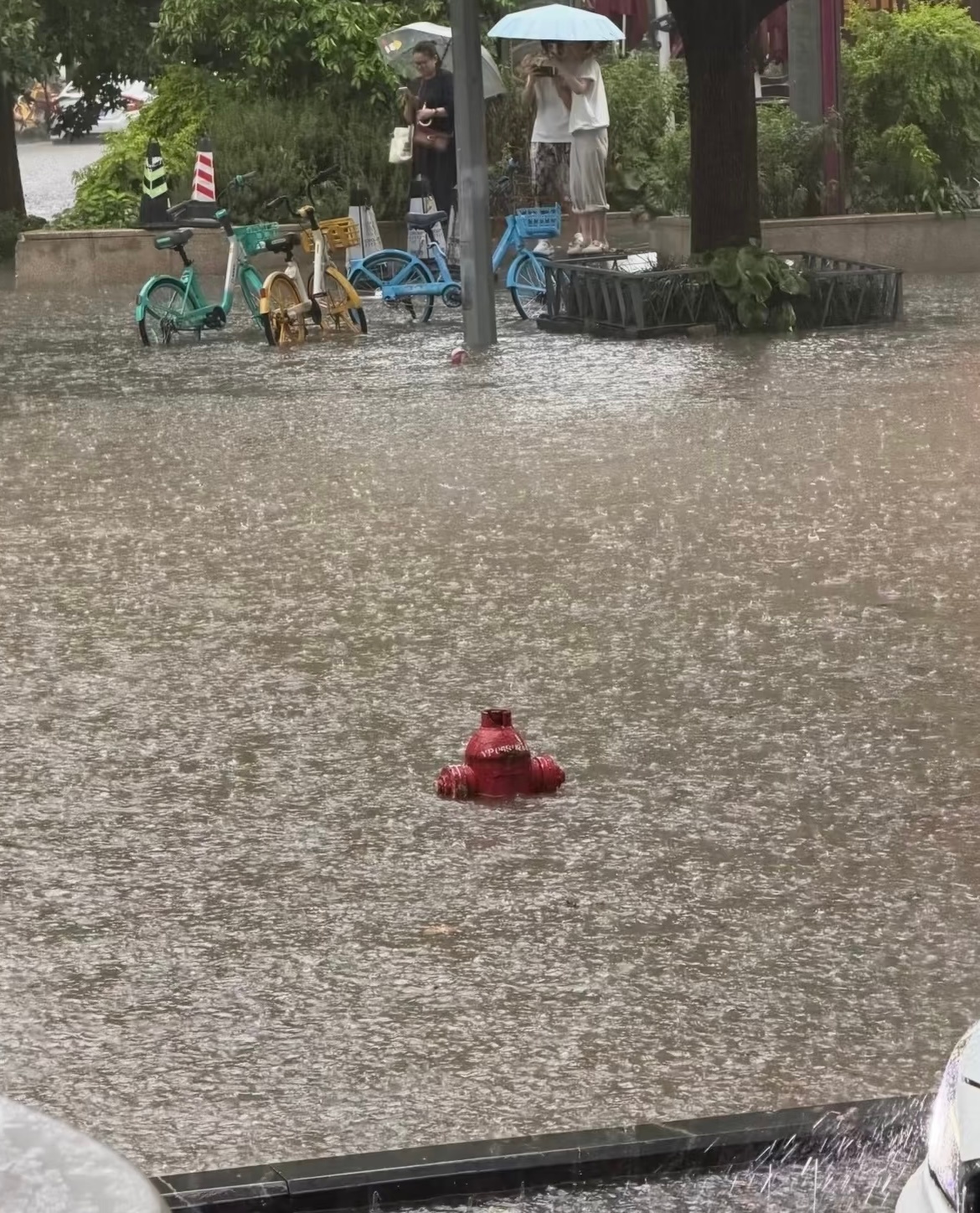 其实雨也没多大～～ 