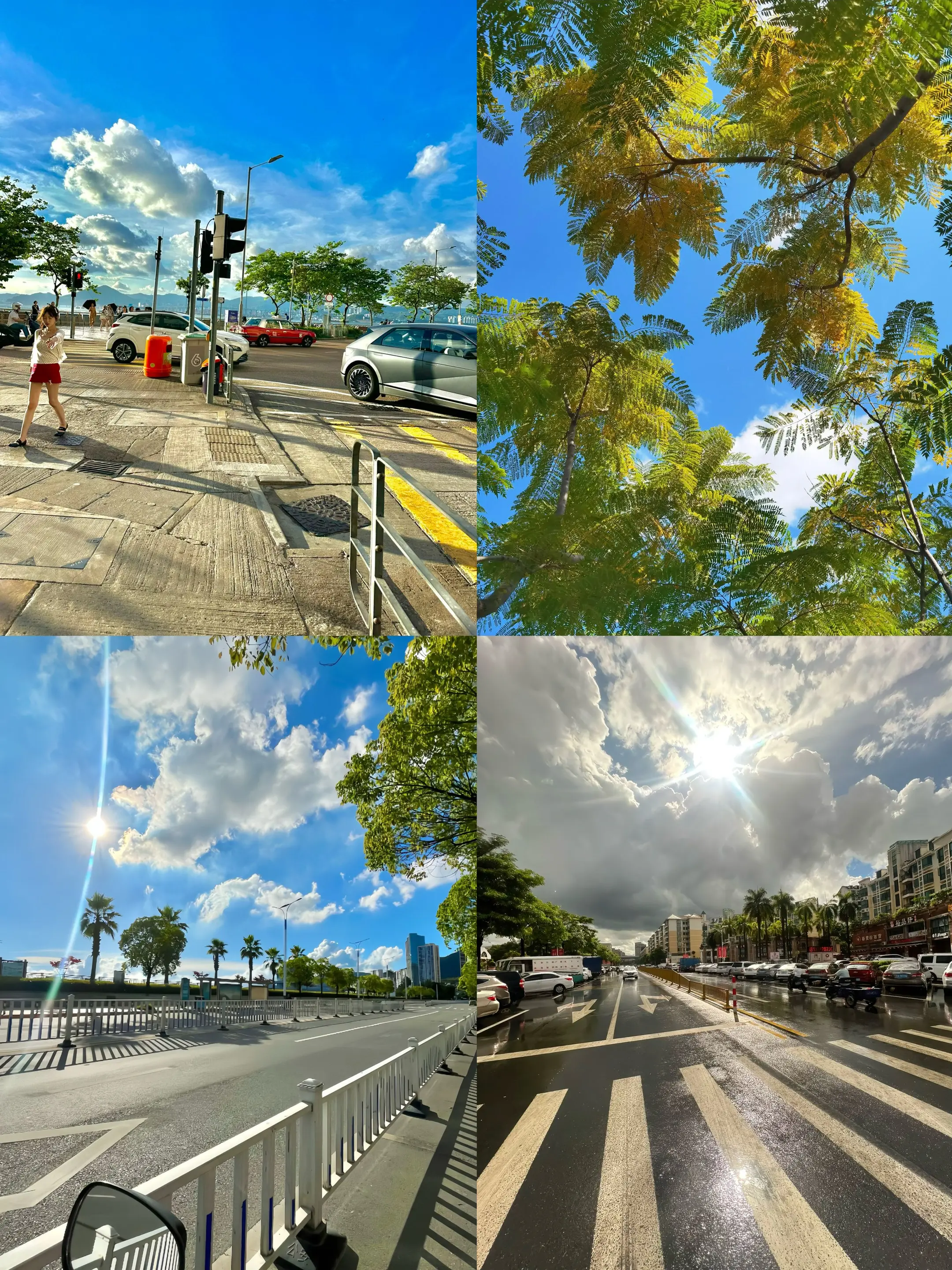 前奏一响 夏天登场。