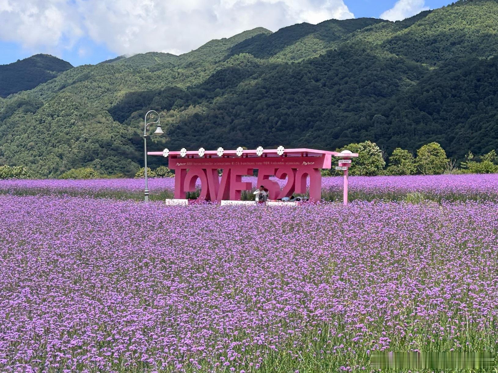 其实李煜东这波是在表白 ​​​