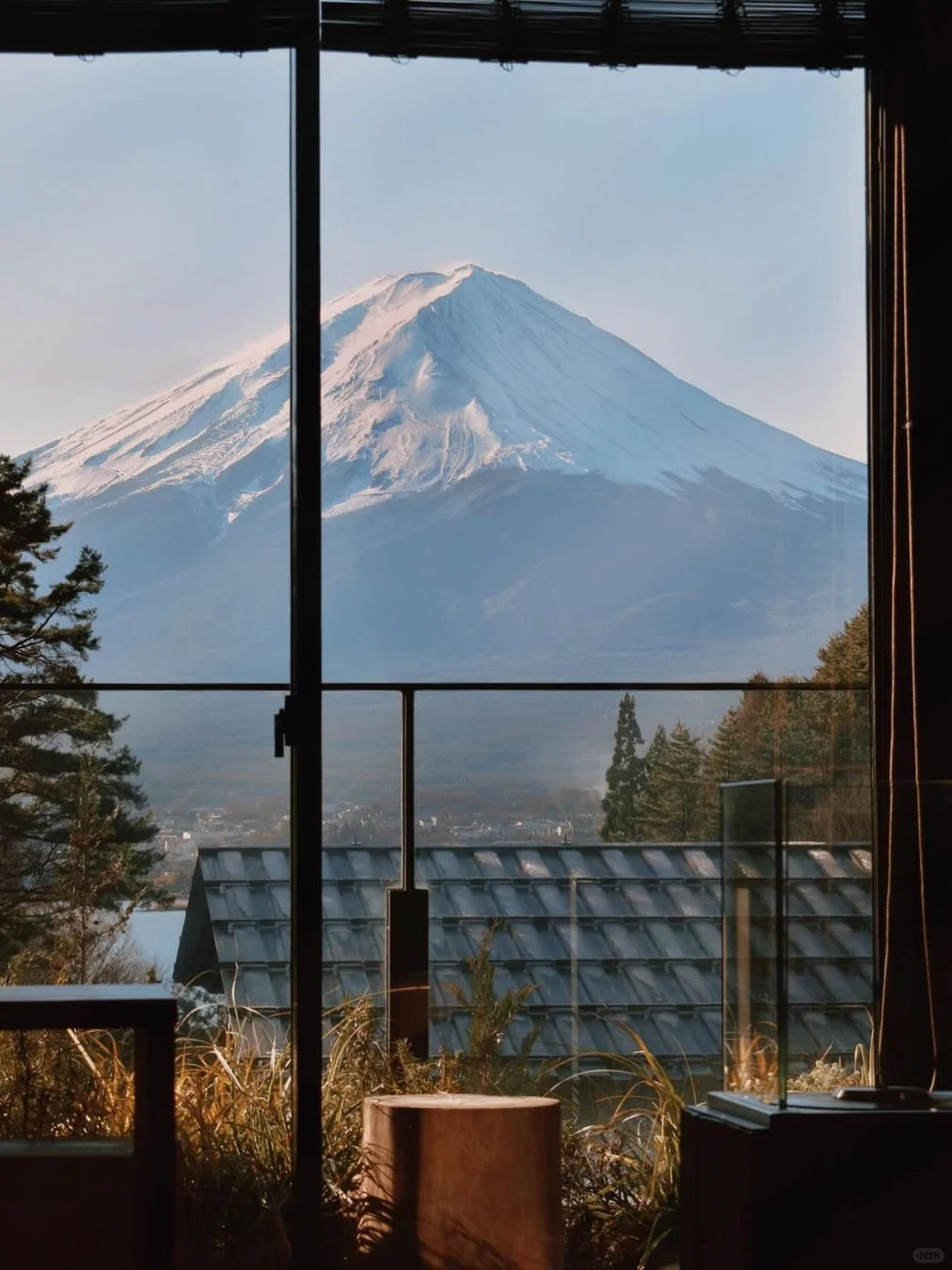 河口湖fufu, 住进富士山下的森林之境🌳