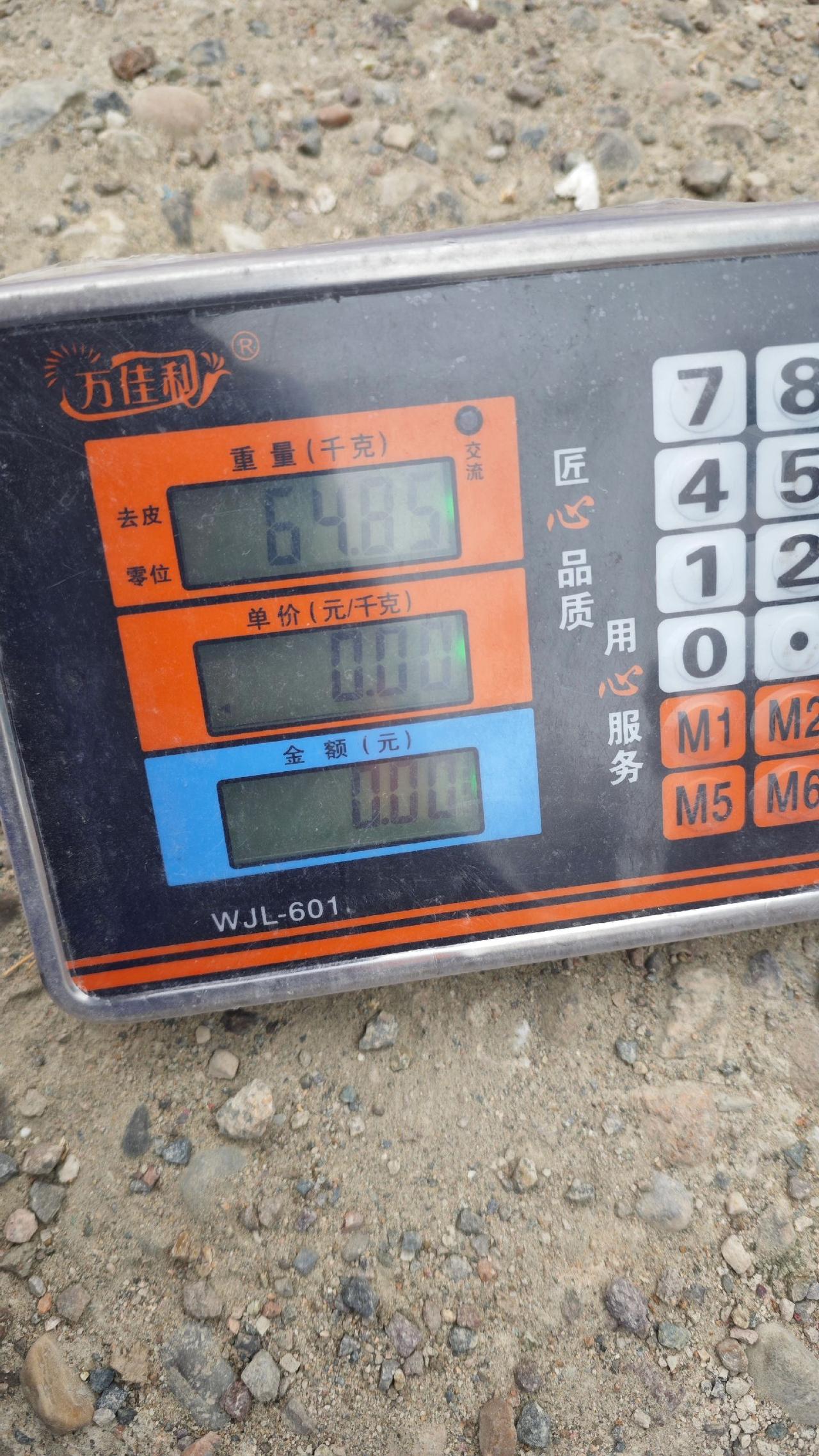 爬了一个多月的楼，减肥效果很明显，肚子也变小了