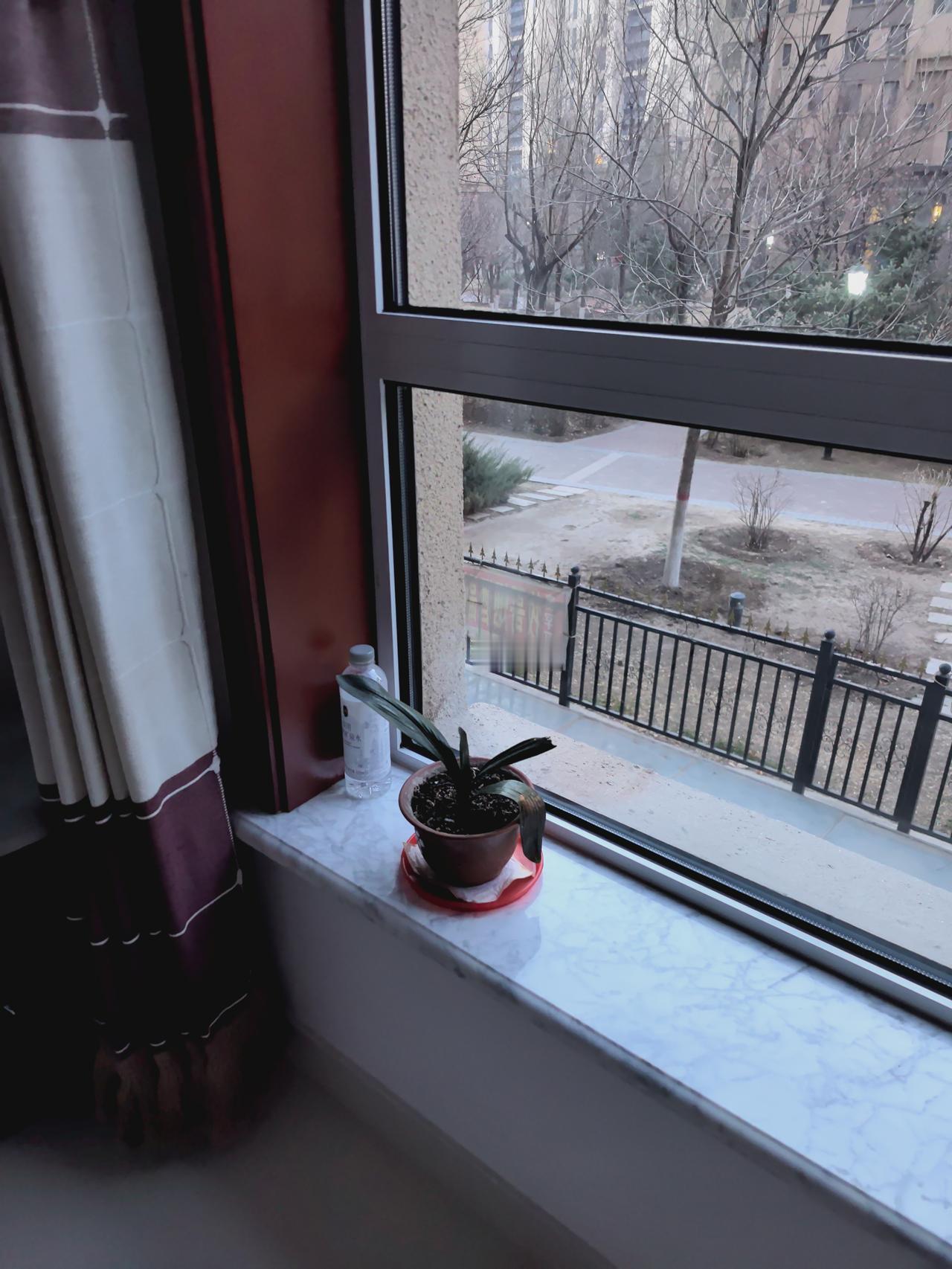 昨天下午，在呼和浩特市玉泉区的一个小区里，陪着两位年轻人看了一套房子，套房子面积