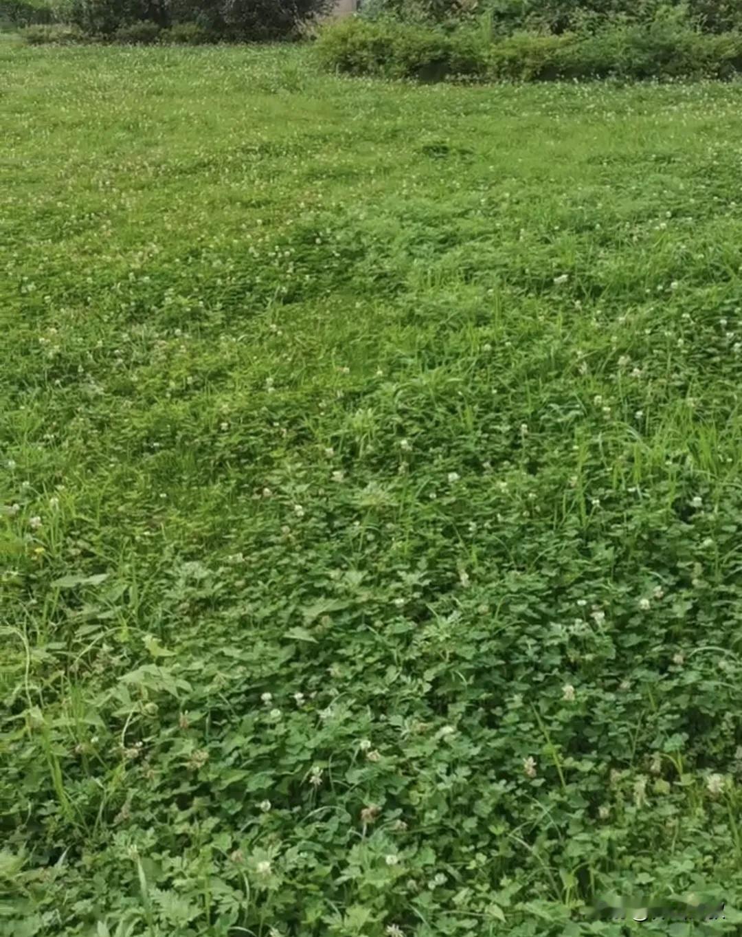 诗人顾城说：风在结它的叶，草在结它的籽，我们站着不说话，就十分美好。到了一定年纪