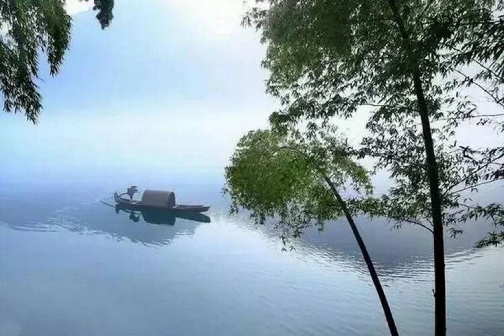 人是环境的产物，真正的自救，就是主动更换环境。

人就像一颗种子，种在贫瘠之地，