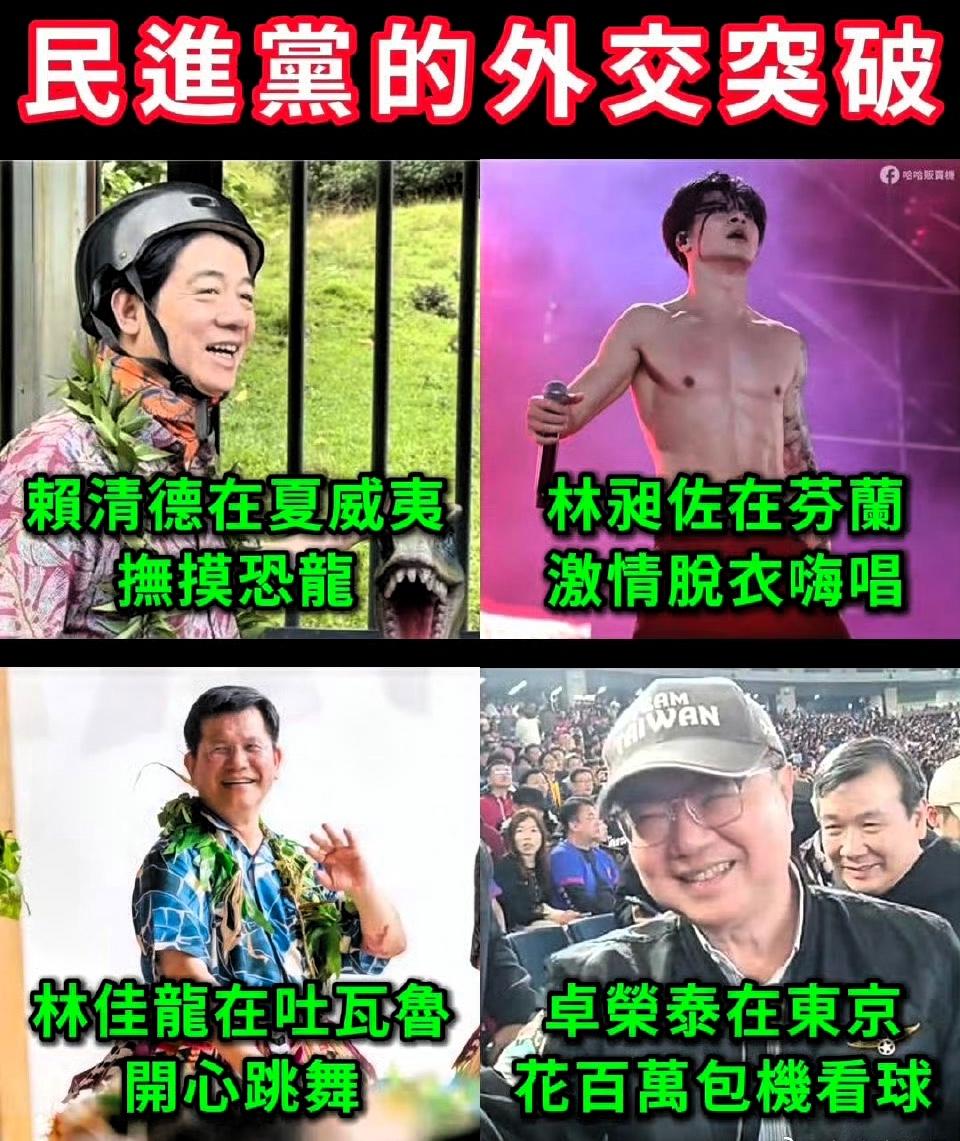 对岸民进党的外交
