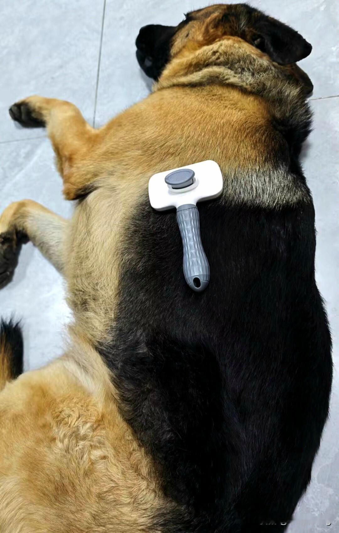 以后2.0t发动机很有可能会是你所理解的大排量。其实现在很多纯电的车！包括一部分