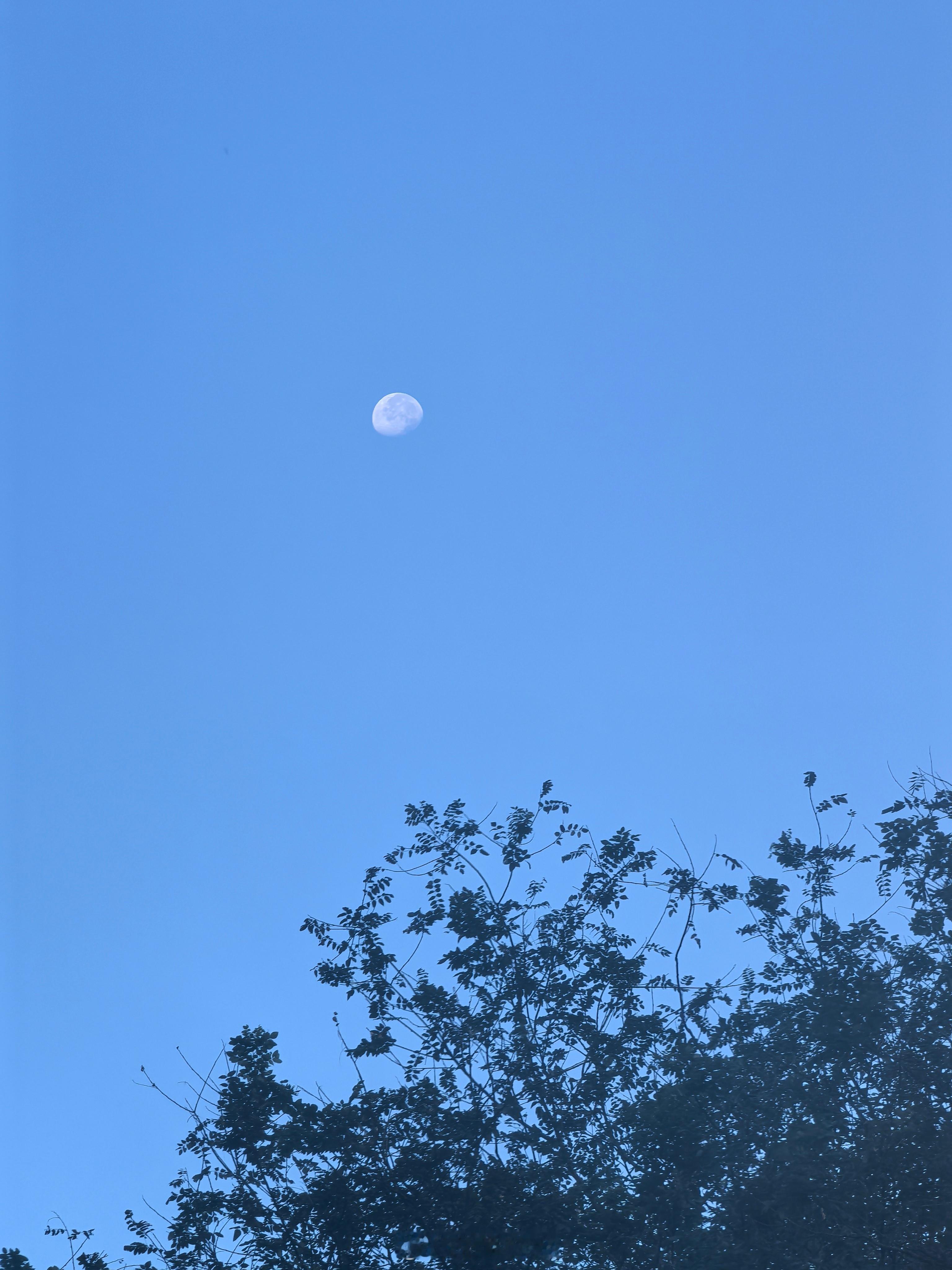 生活手记 ​​​