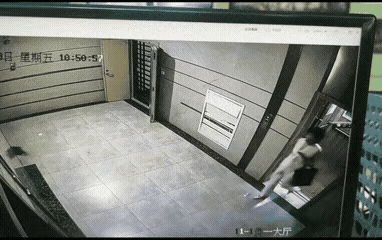 住楼不养狗
还养两条
还不套绳
简直就是不可思议[打脸]