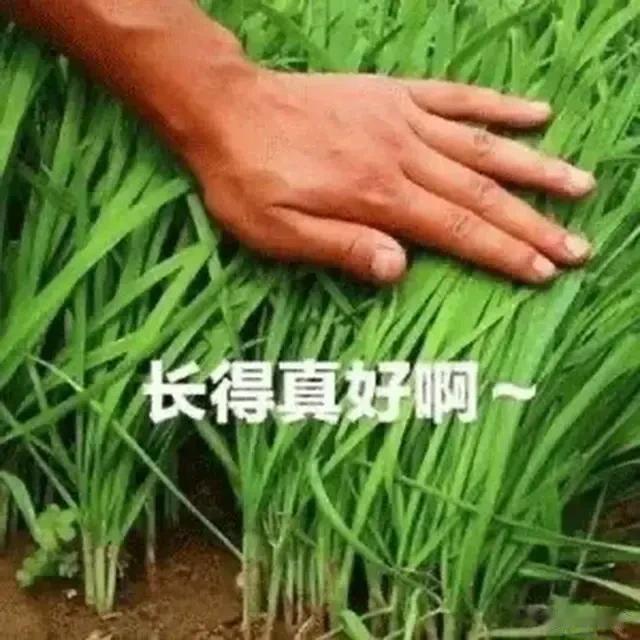 请举例，此图适用于的行业，场景？