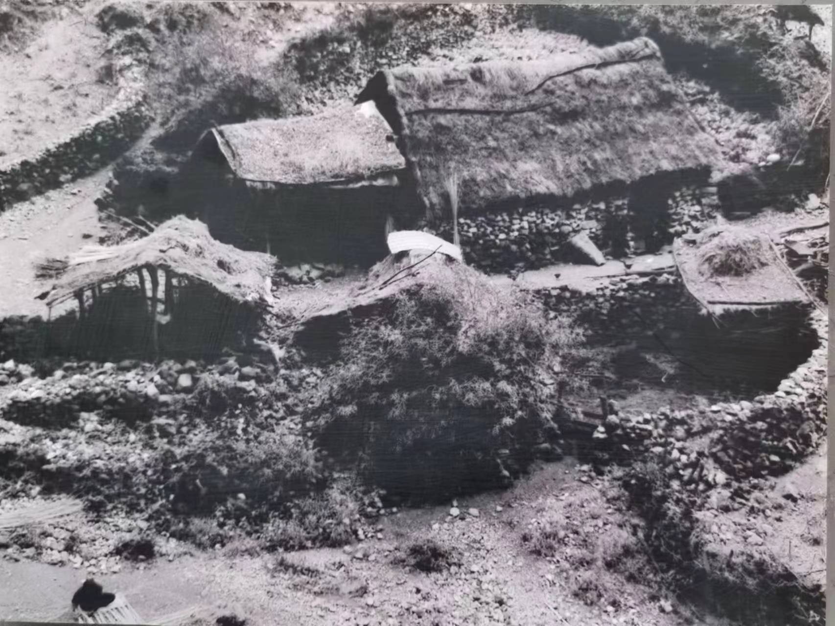 95后村支书朋友圈上新了 以青春赴使命，以实干惠乡亲。吉列子日扎根阿布洛哈村，用