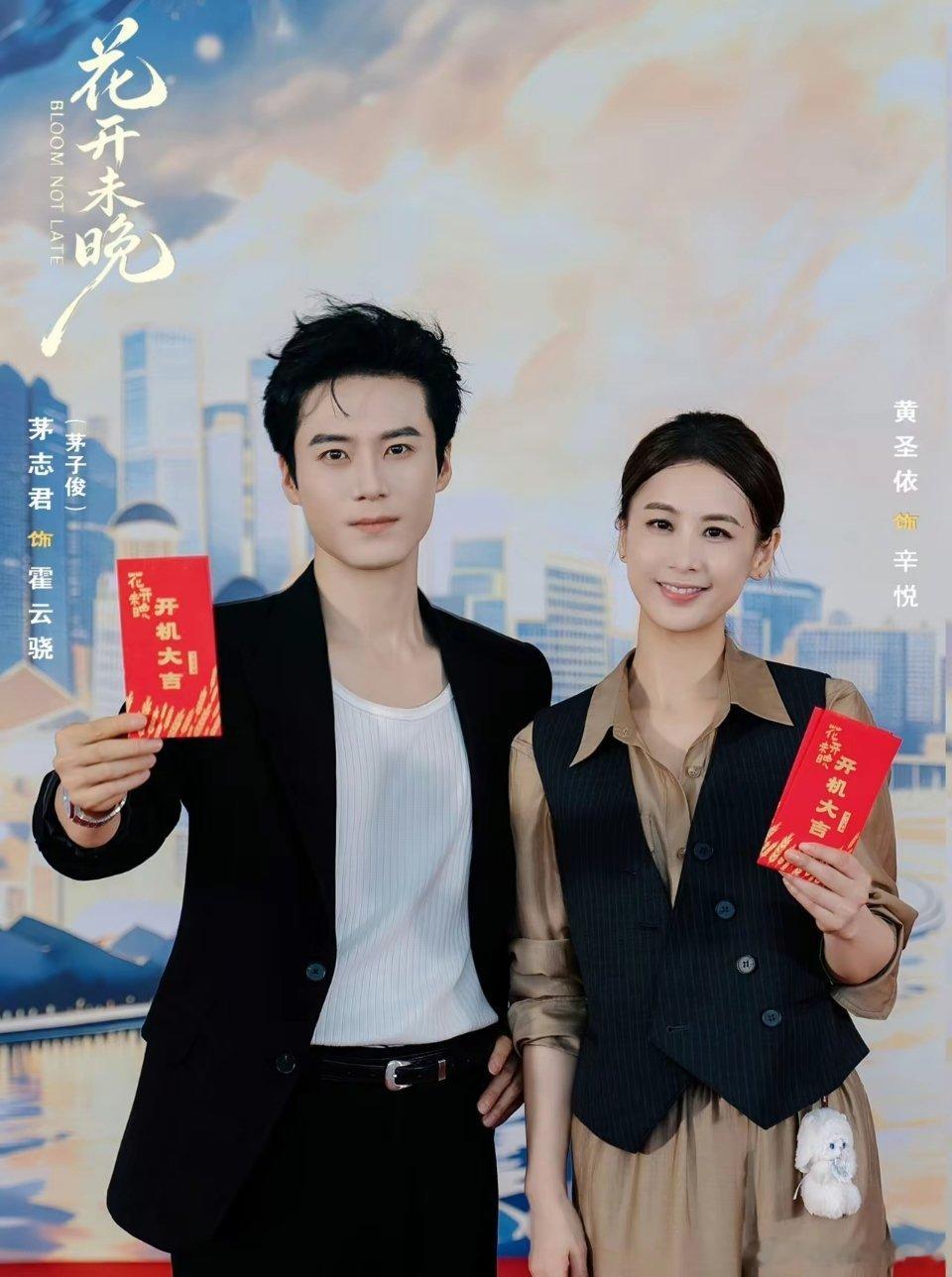 新剧开机，阵容曝光！由何佳男执导，黄圣依领衔主演，茅志君（茅子俊）特别出演，师鹏