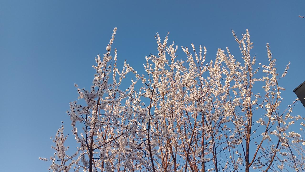 前几天，10年前交往过的一个朋友开口向我借钱导一下信用卡，看到信息的第一时间转给