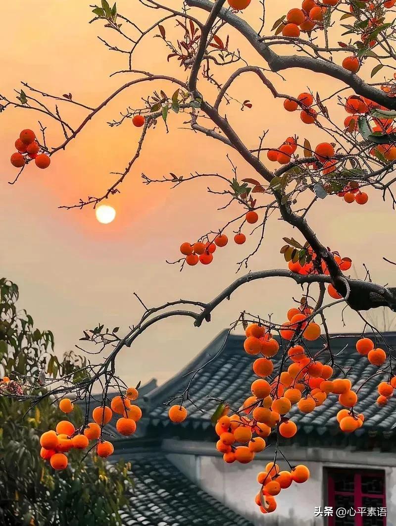 美国一位富豪说：“弱者最大的特征就是色情成瘾。上帝想淘汰掉一个男人，方式只有两种