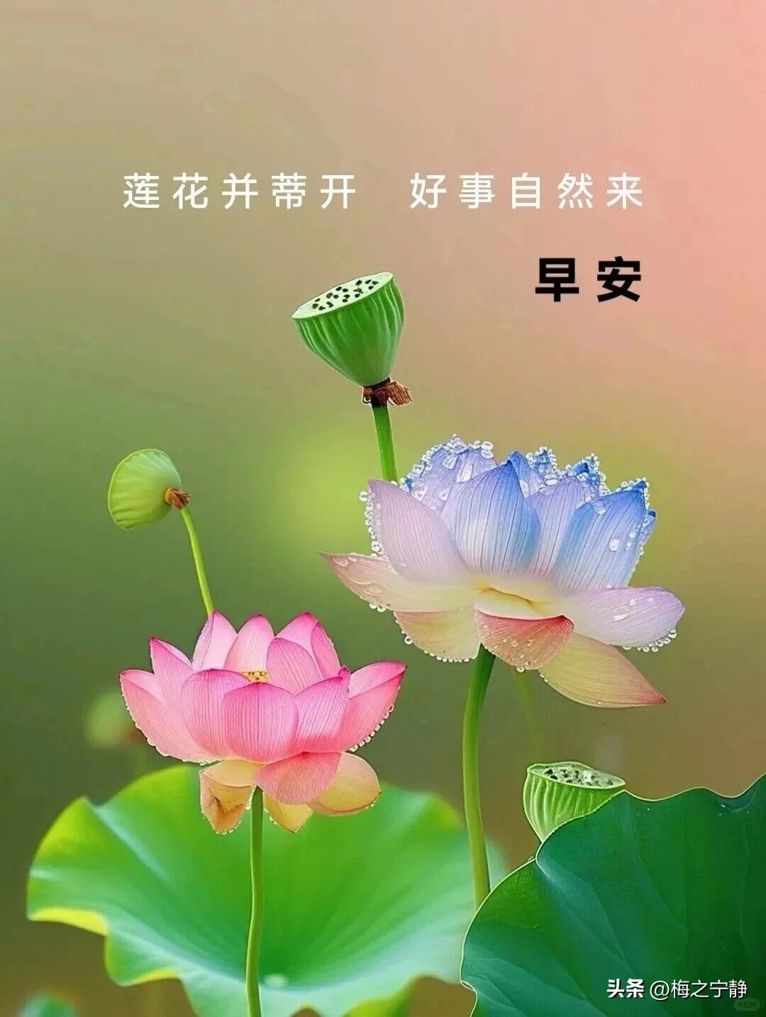 🌼²⁰²⁶/₀₇.₂₉ᵕ̈ᵕ̈ᵕ̈ 周三｜早安☀️🍃☕️🍒🍑
🍃𝐆?