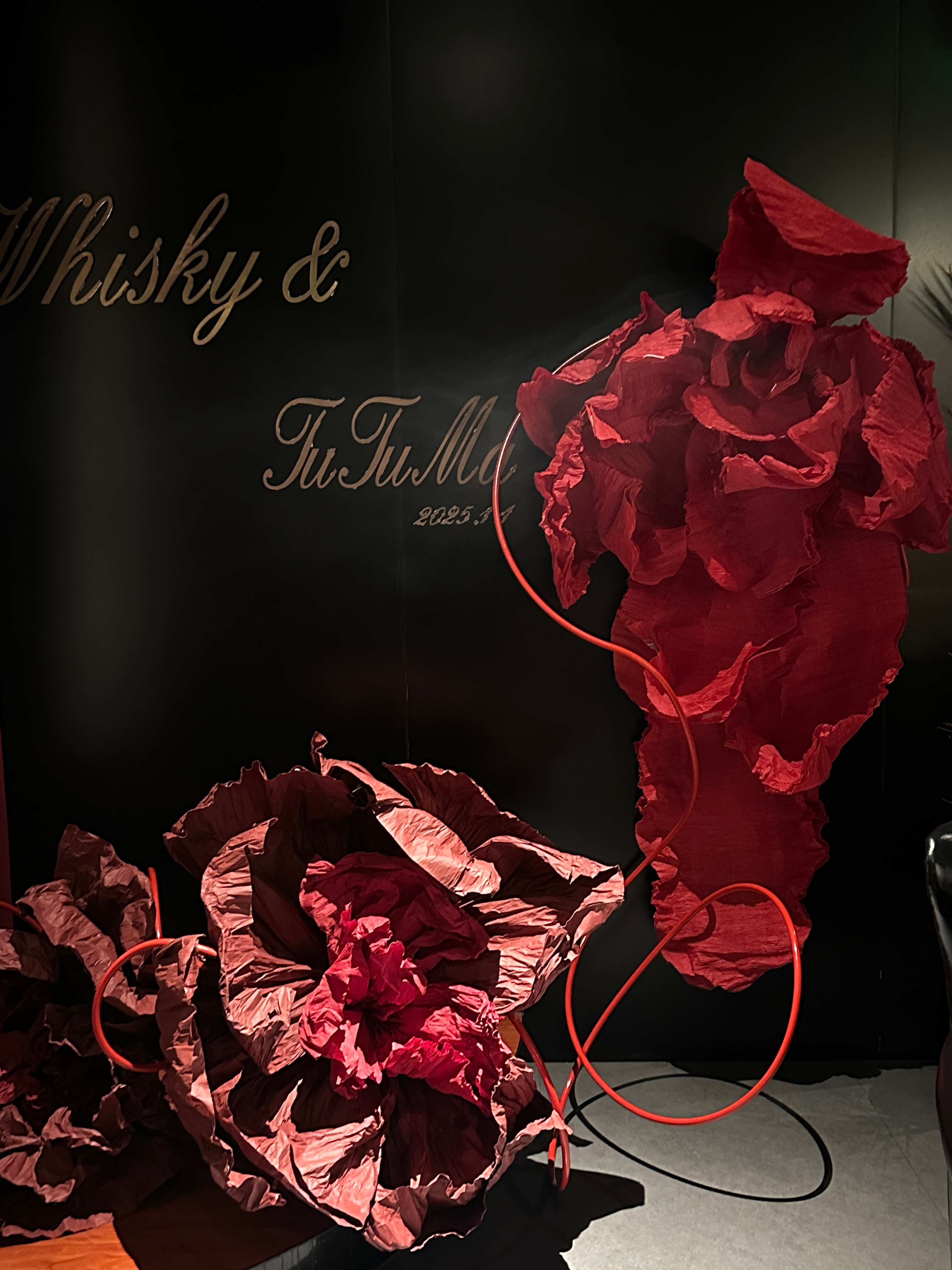 告诉桃花 不用开了🍷  