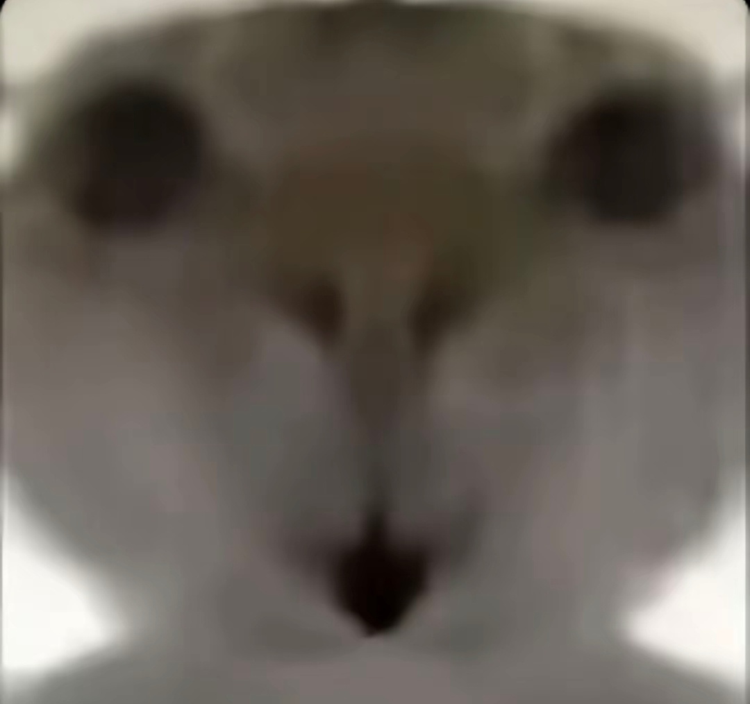 分享图片 ​​​