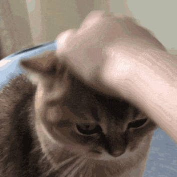 号主语言表达力很差于是只能这样安慰朋友 