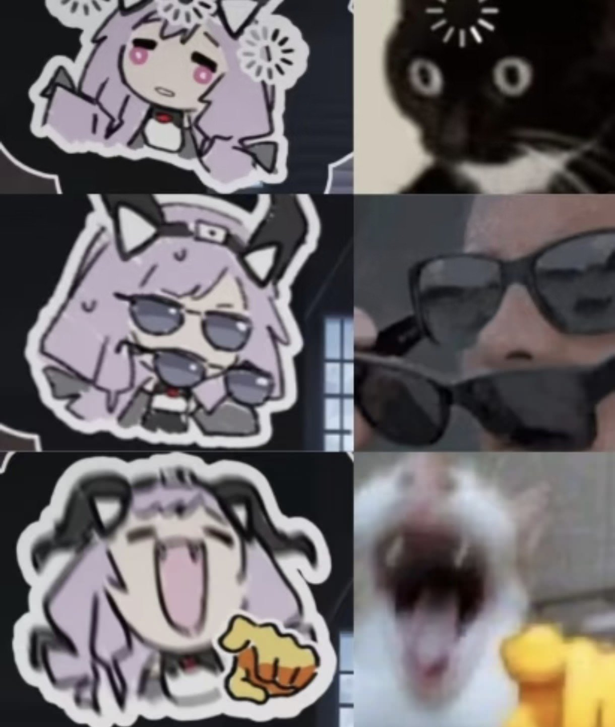 meme宝宝 