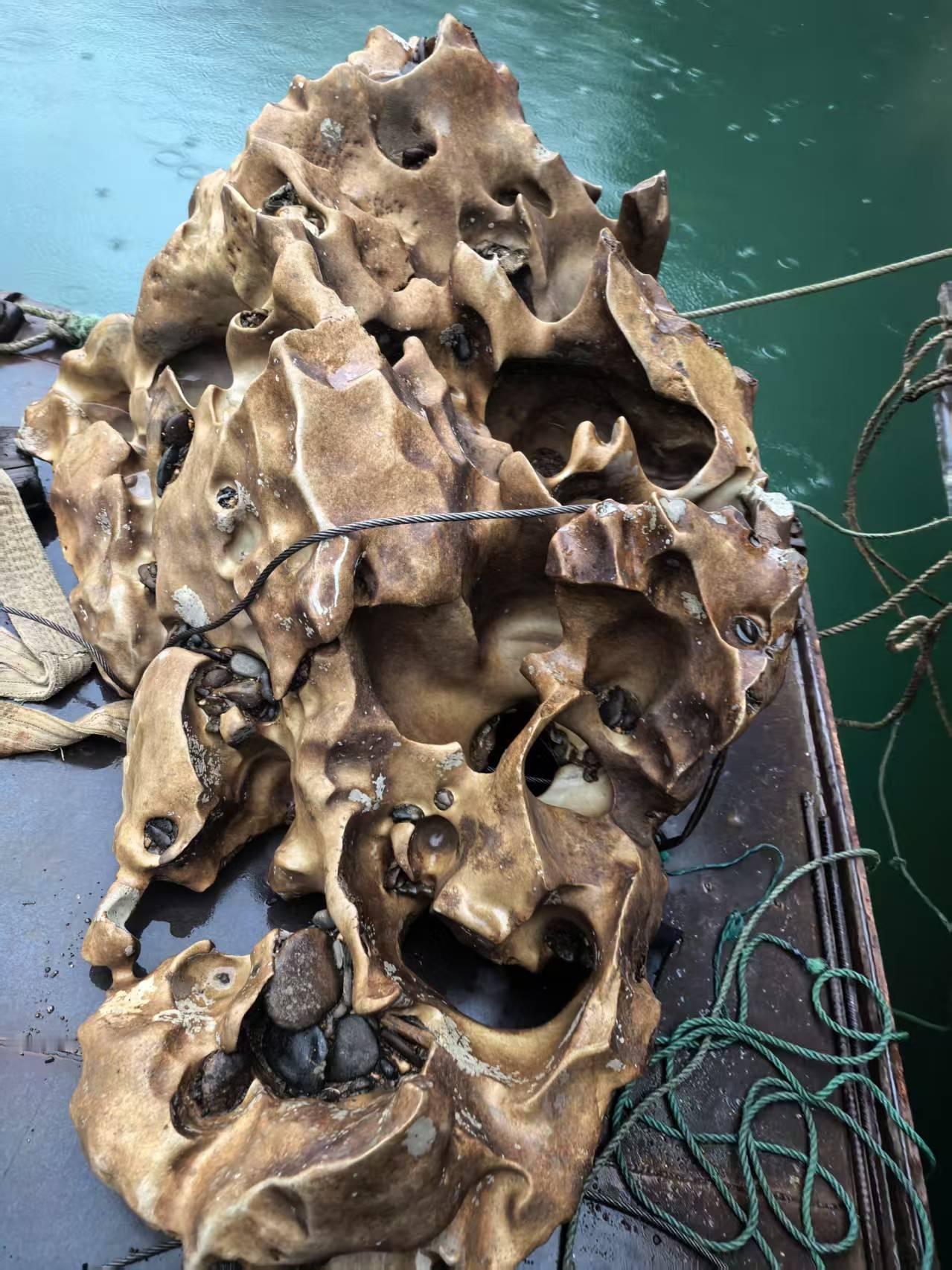 新出水的北丹石[送自己一朵花]