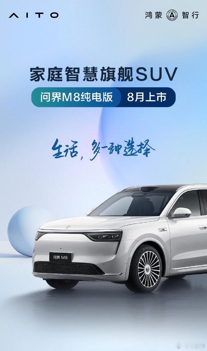 其实一直到现在，30-40万元的全尺寸纯电SUV市场，都没有一款真正具有统治力的