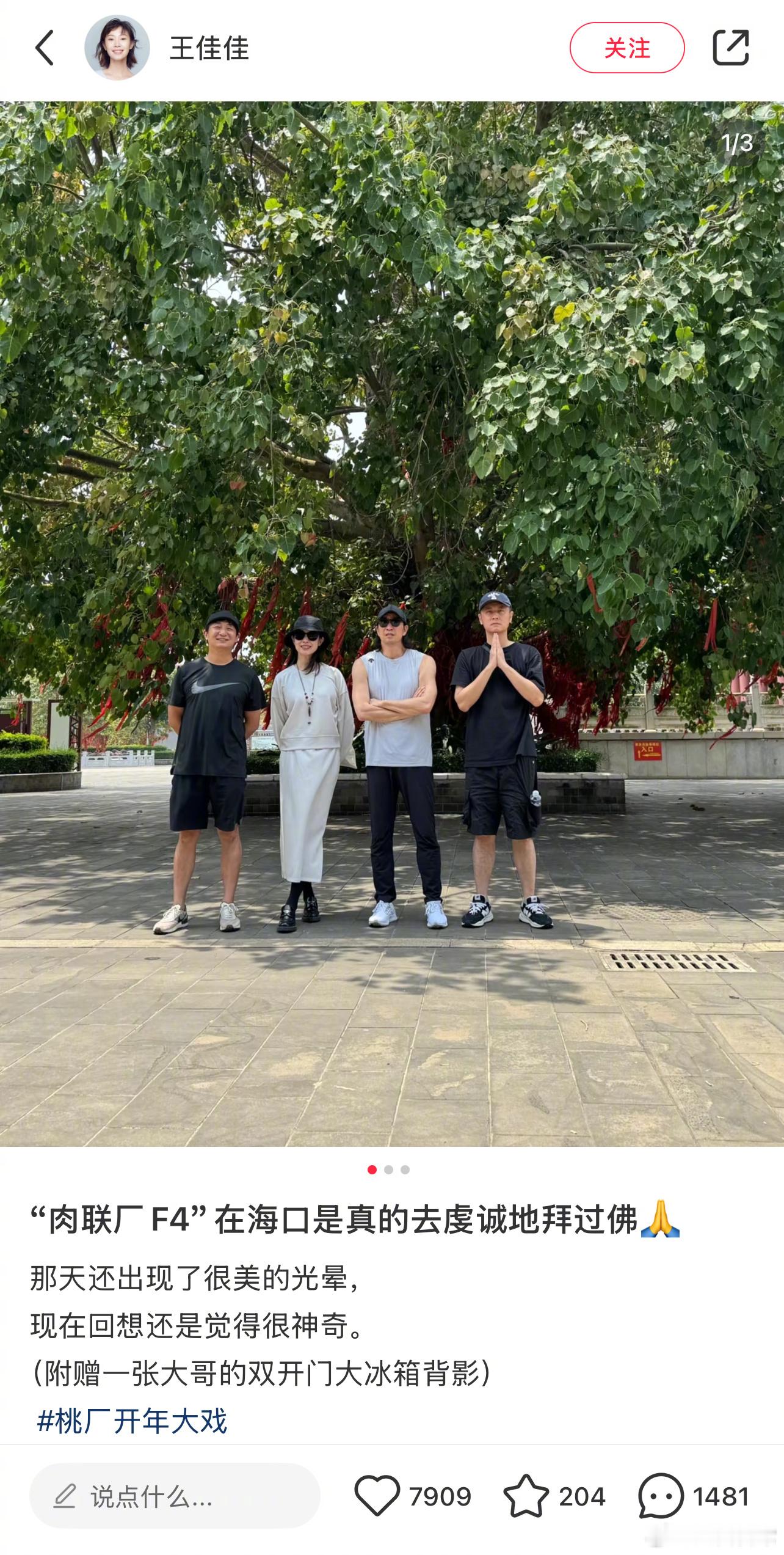 《漂白》大嫂宋红玉扮演者王佳佳发肉联厂F4，评论区翻车 