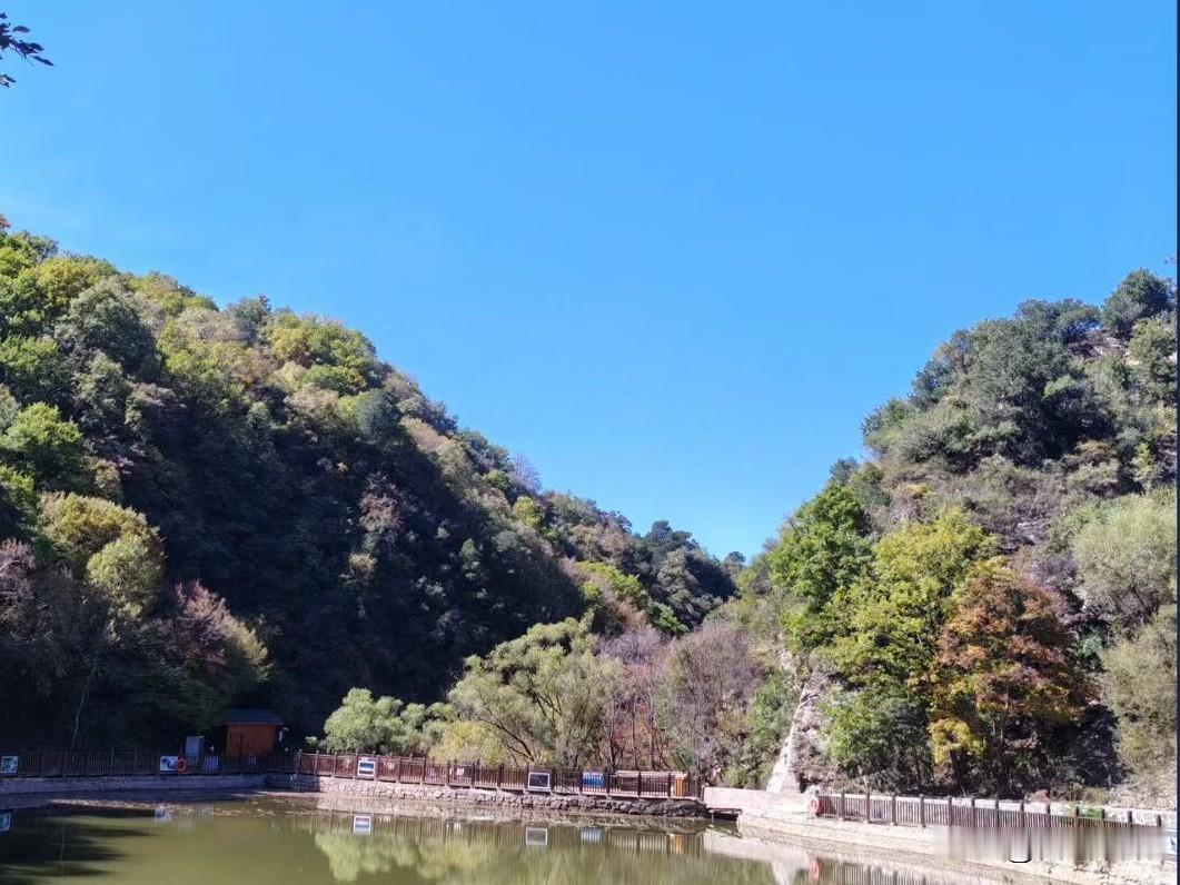 有智慧的婆婆们，跟儿媳妇相处，掌握三个不求：
一，不求感恩。有些婆婆从儿媳妇怀孕
