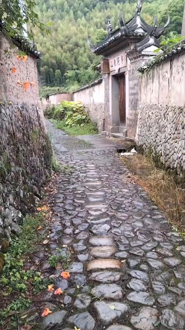 浙江泰顺圆洲古村落。