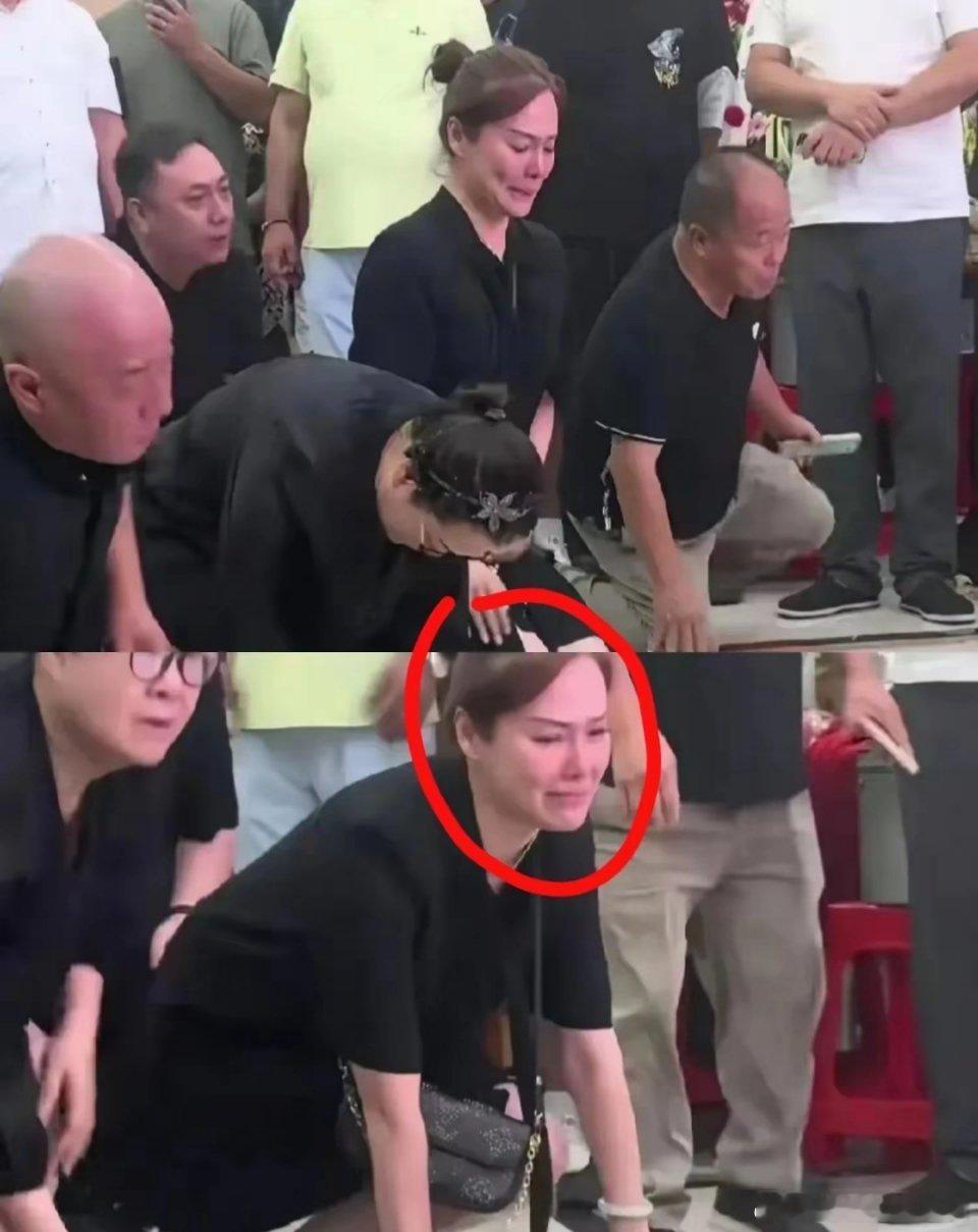 万万没想到，杨少华的葬礼上哭得最惨的不是4个儿子，而是搭档李丽君。​李丽君曾在《