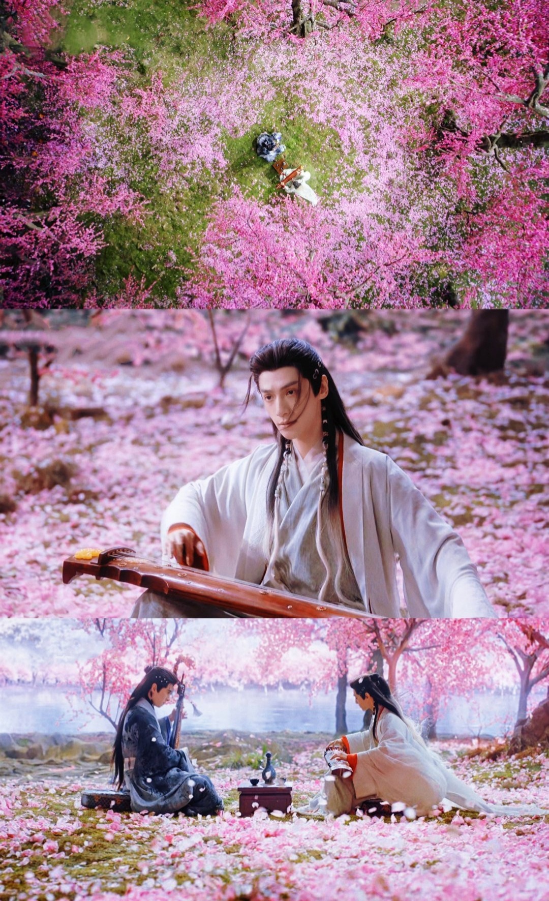水龙吟/唐俪辞/罗云熙/头像/壁纸 ​​​/表情包 ​​​