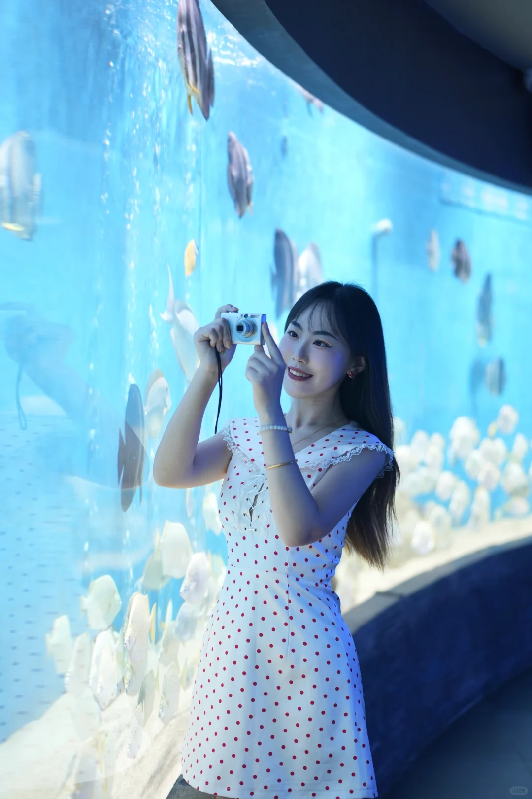 刚回！3️⃣小时游合肥海洋馆！能救一个是一个