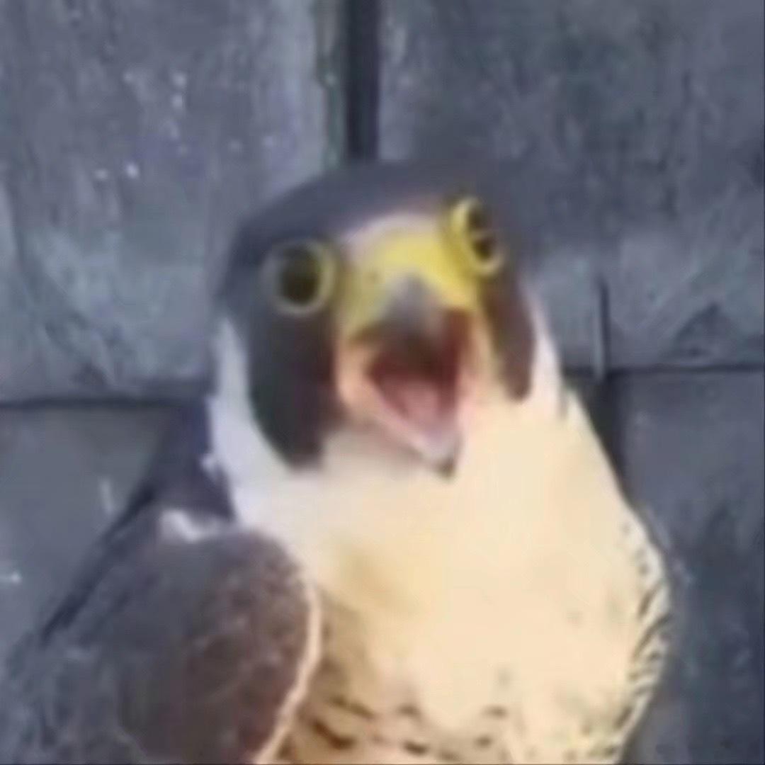 请输入文字 