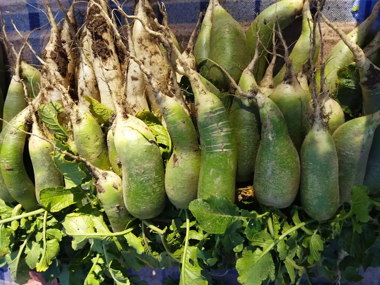 人真的不能太贪心。亏了五年的基金前天终于回本了。其中的心酸就不说了。本来想清掉，