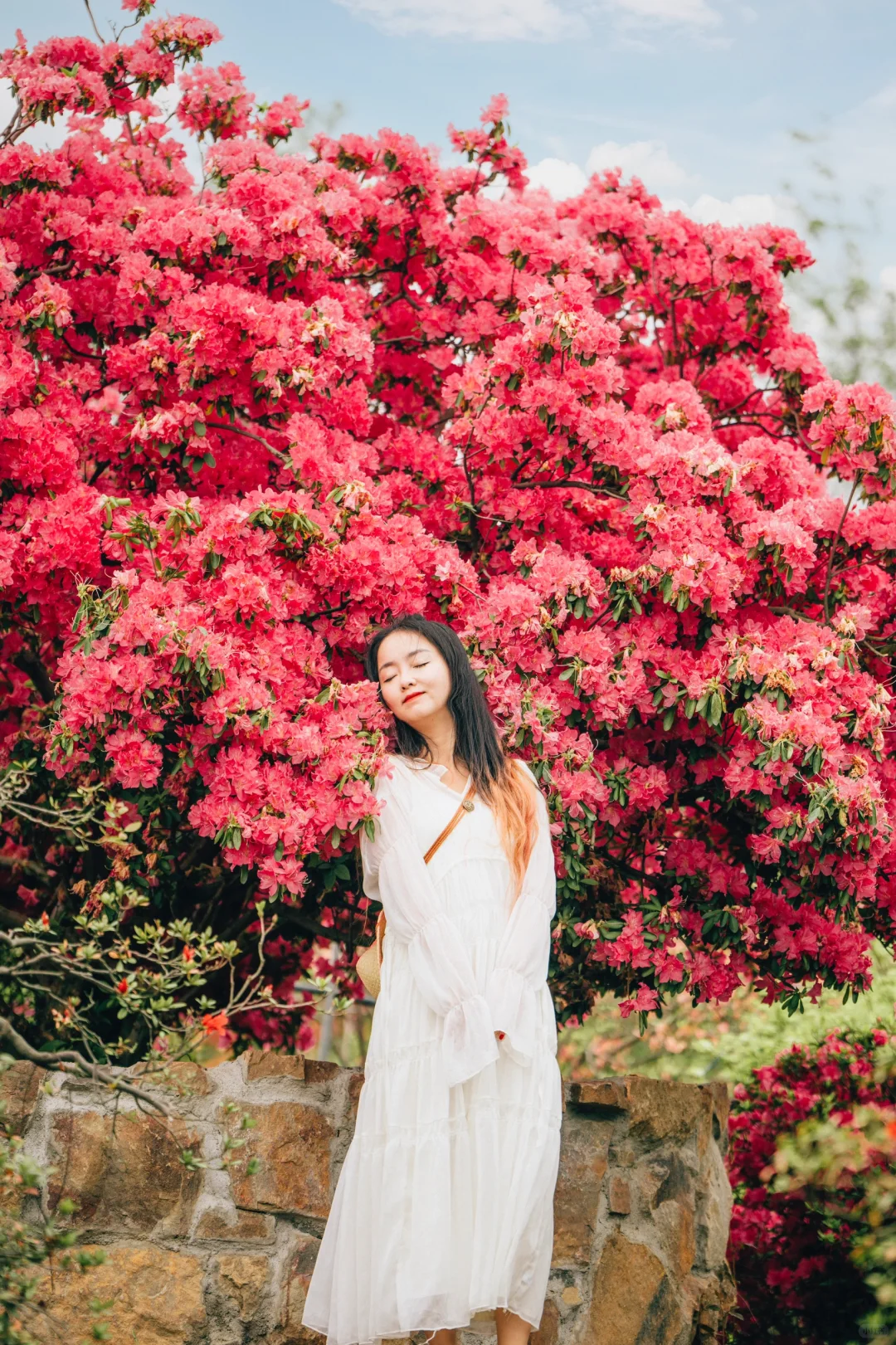 💐无锡你又糊涂了❗️居然私藏这么美的花海‼️